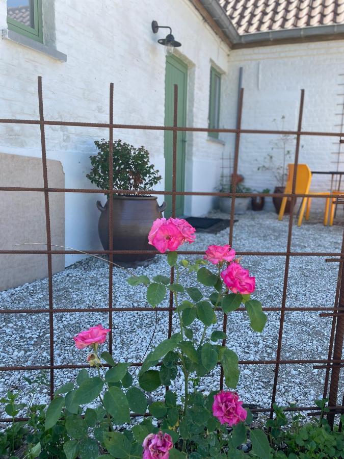 לינה וארוחת בוקר Oedelem De Wabisabiboerderij מראה חיצוני תמונה